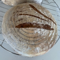 Tomato sourdough
