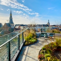 Green deck panoramic view